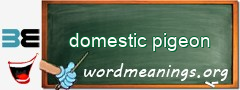 WordMeaning blackboard for domestic pigeon